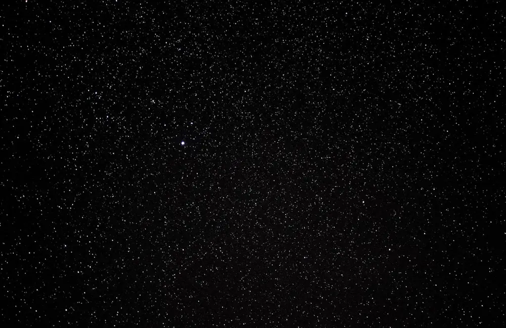 獅子男的獵愛寶典:最懂獅子心,讓你擄獲百獸之王