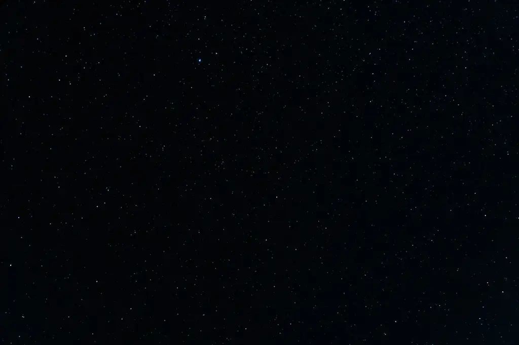 獅子男對喜歡的人生氣:揭開獅王發怒的內心世界